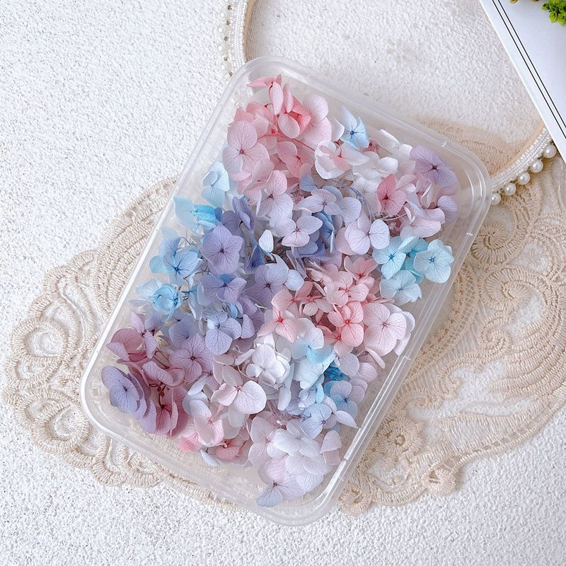 1กล่องดอกไม้แห้งจริงตกแต่งเล็บ - Dried Flower Bulk บทวิจารณ์และราคา