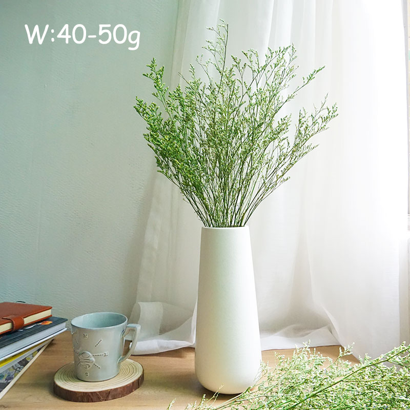 หญ้าลิโมเนียม 50 กรัม/แบบแห้ง  - Dried Flower Bulk บทวิจารณ์และราคา