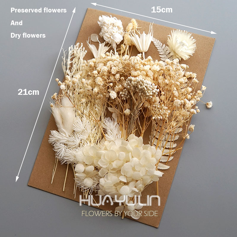1 แพ็คพืชประดิษฐ์แห้งดอกไม้จริ - Flower Preservation Resin บทวิจารณ์และราคา