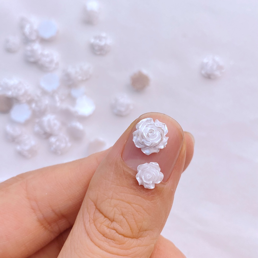 ชุดดอกไม้เรซินสีขาวขนาดเล็ก5มม - Flower Preservation Resin บทวิจารณ์และราคา