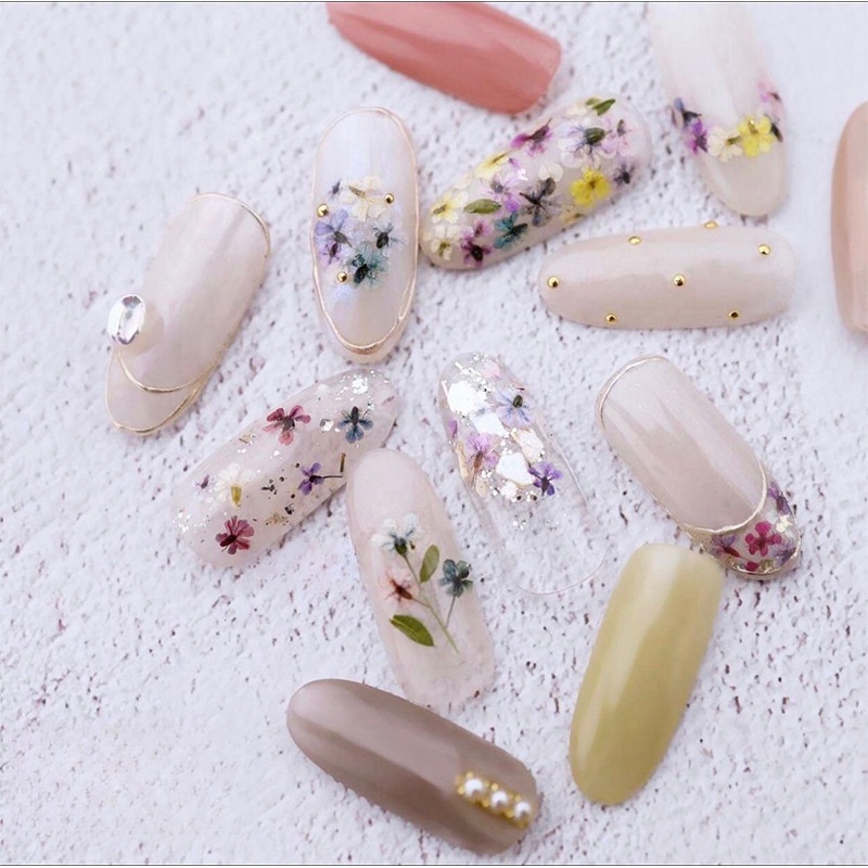 ผสมดอกไม้แห้งขนาดเล็กเล็บดอกไม - Dried Flower Bulk บทวิจารณ์และราคา